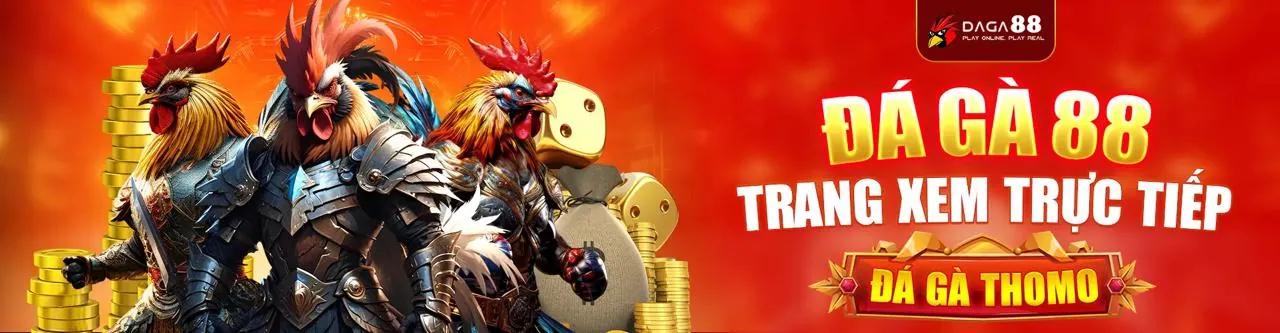Cookie và quyền riêng tư tại 789win1 đăng nhập
